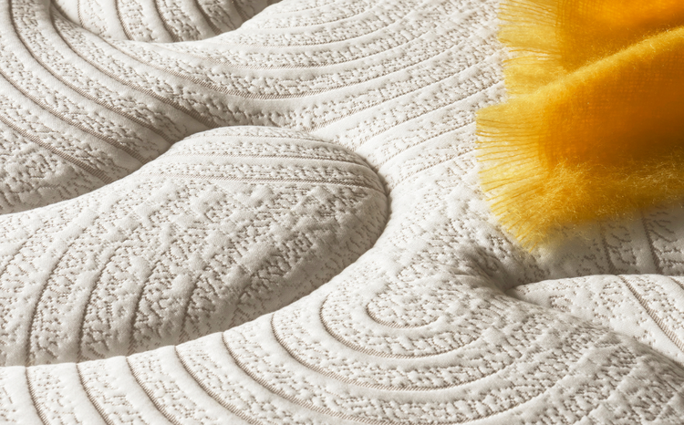 Brun de vian tiran x André renault